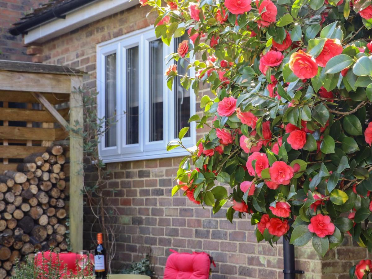 Paddock View Maidstone Exterior foto